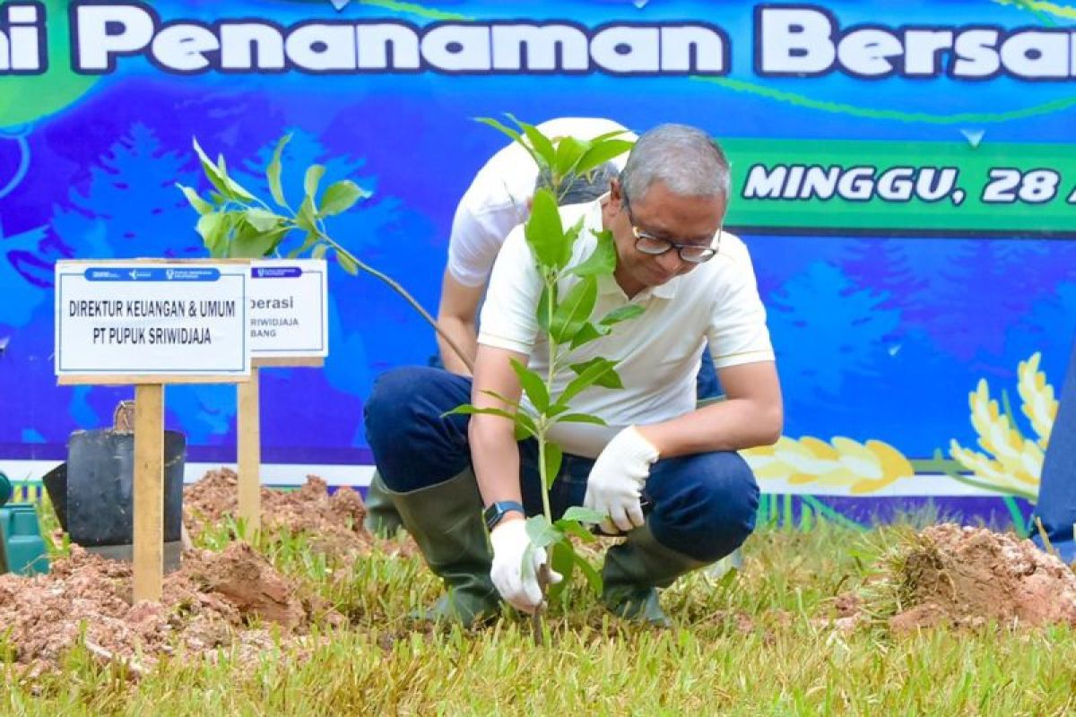 Rangkaian HUT ke-12, PT Pusri tanam 1.250 pohon wujud dukung "green harmony"