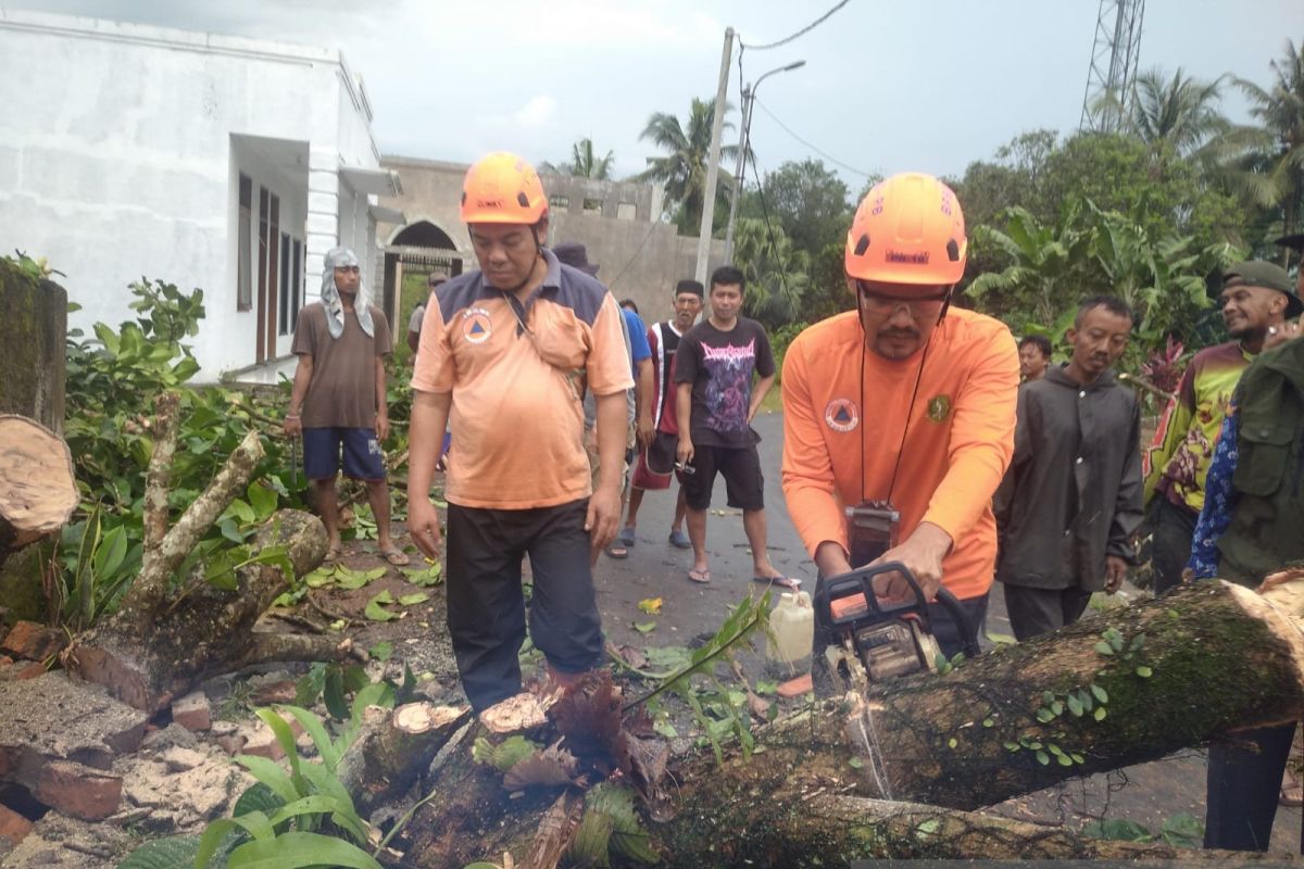 DPUTR pangkas puluhan pohon rawan tumbang di Kota Sukabumi
