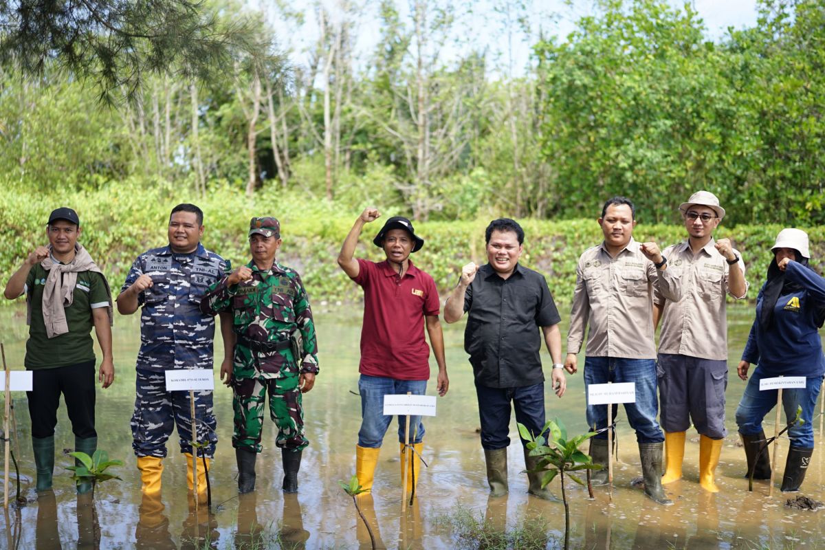 Muhammadiyah tanam 1.000 mangrove, cegah abrasi di pantai selatan Jawa
