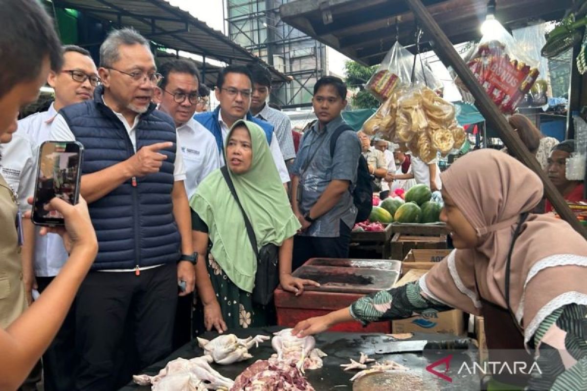 Mendag Zulkifli Hasan sebut harga beras dan bawang merah mulai normal