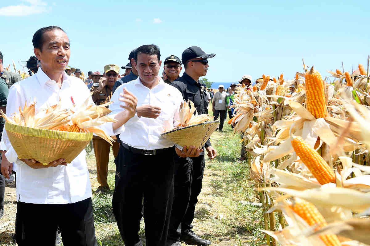 Hilirisasi pertanian langkah krusial tekan impor