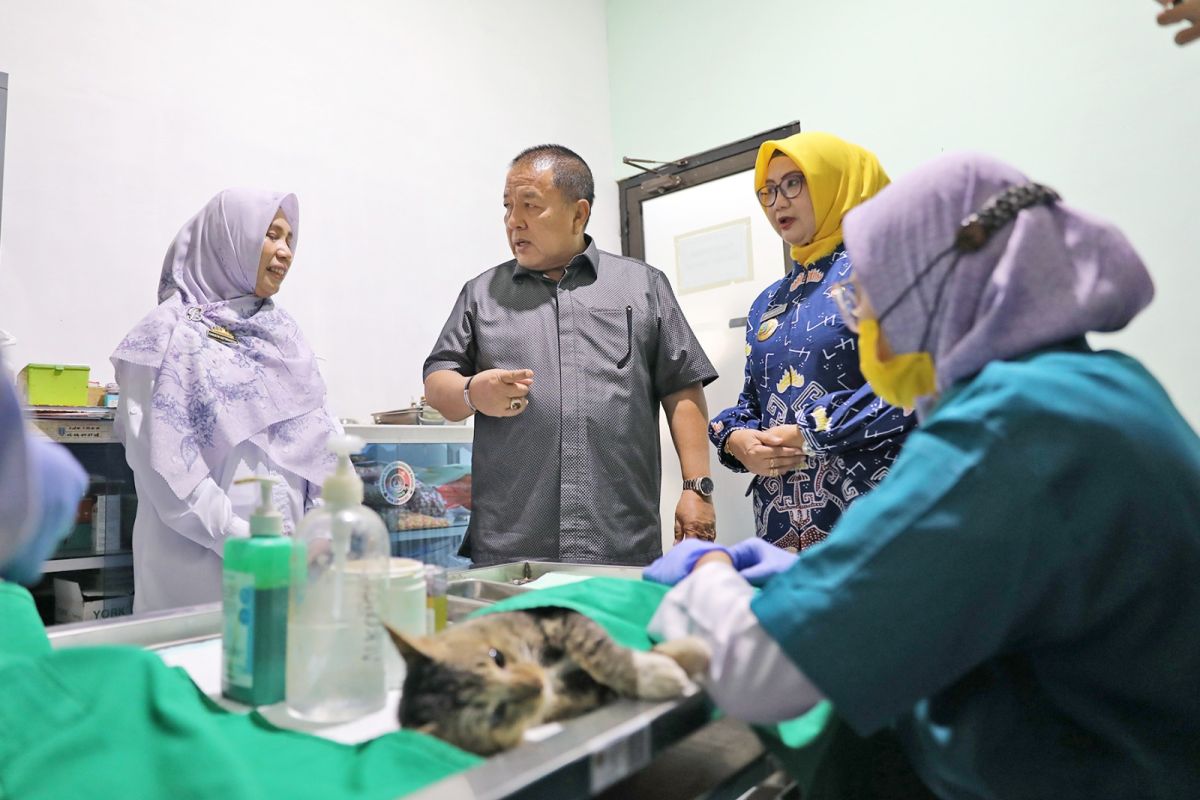 Gubernur Lampung pastikan pelayanan kesehatan hewan berjalan maksimal