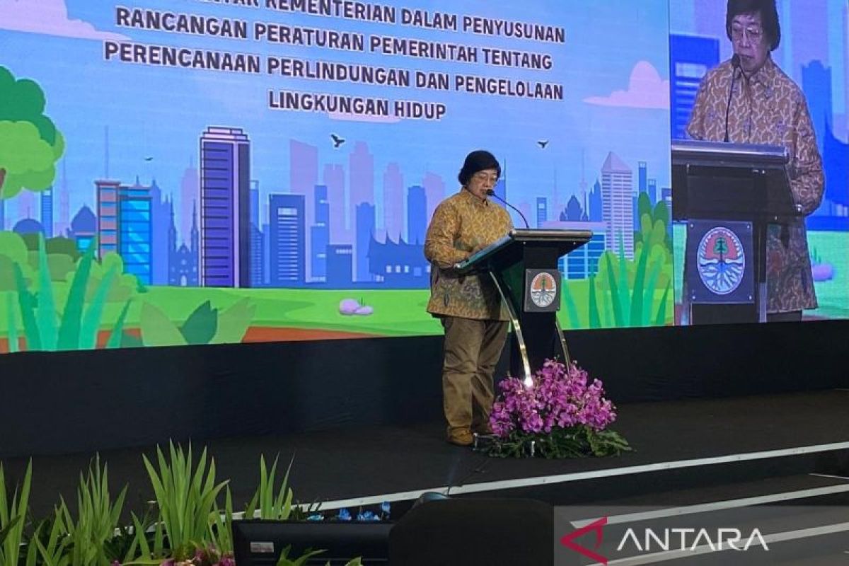 Sustainability requires environmental protection planning: Minister