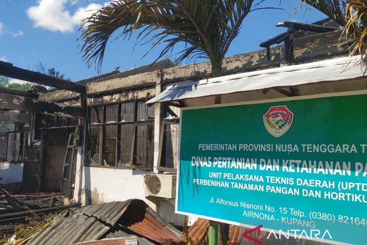 Polisi selidiki penyebab kebakaran gedung kantor UPTD pembenihan