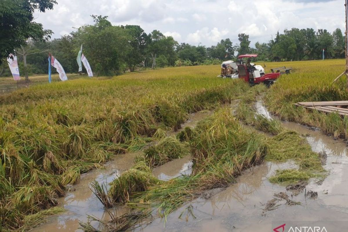 Korem 044 Gapo kerahkan prajurit optimalisasii lahan rawa Sumsel