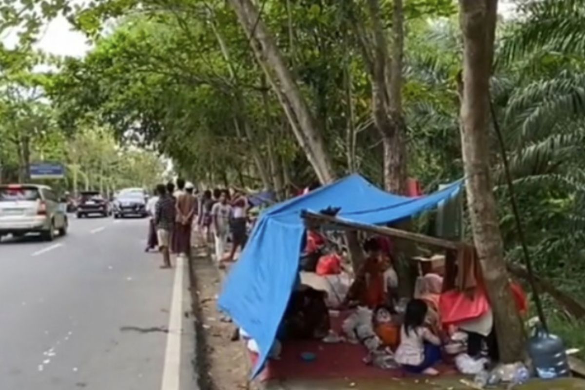 Pemprov Riau diminta bantu penempatan pengungsi Rohingya