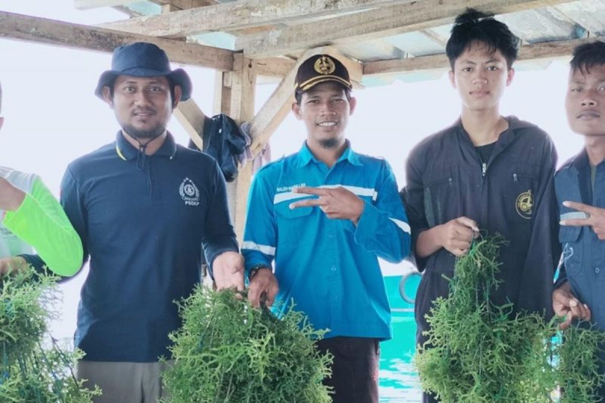 Pemkab ajak pelajar budidayakan rumput laut bekal usaha di masa depan
