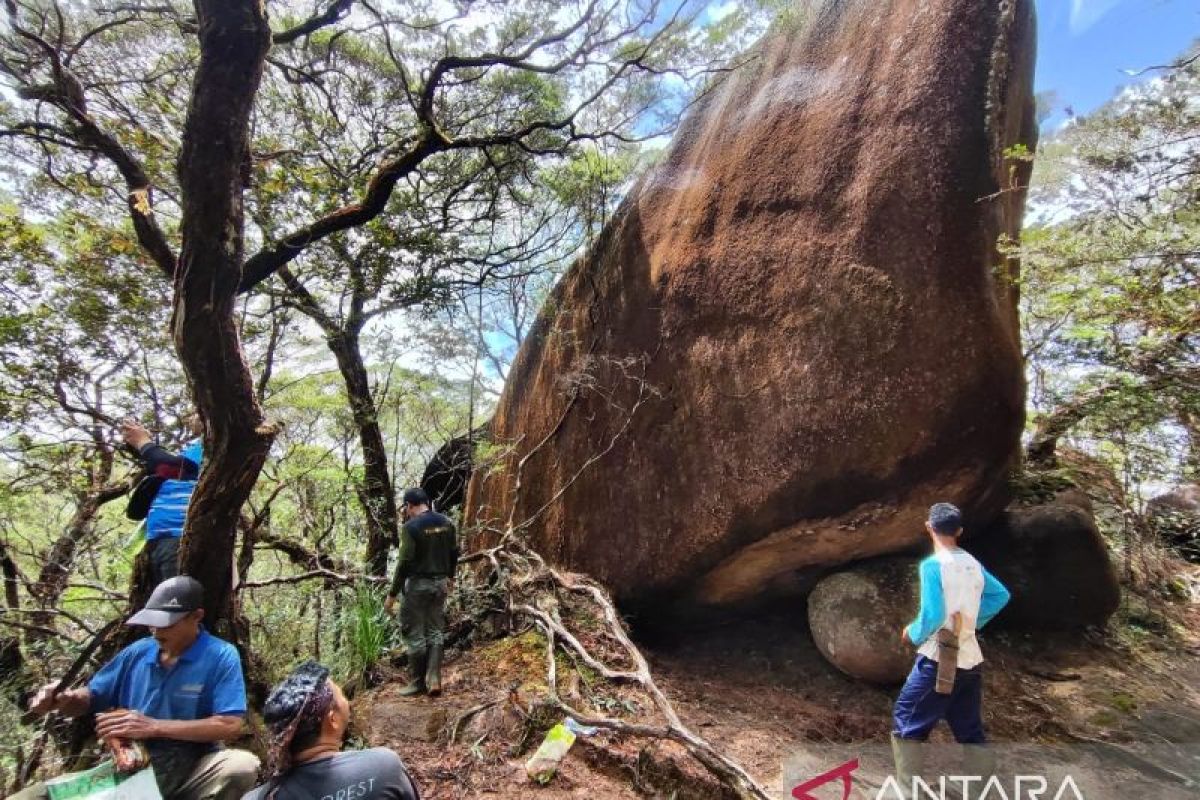 12 tipe ekosistem hutan teridentifikasi di TNGP Kalbar