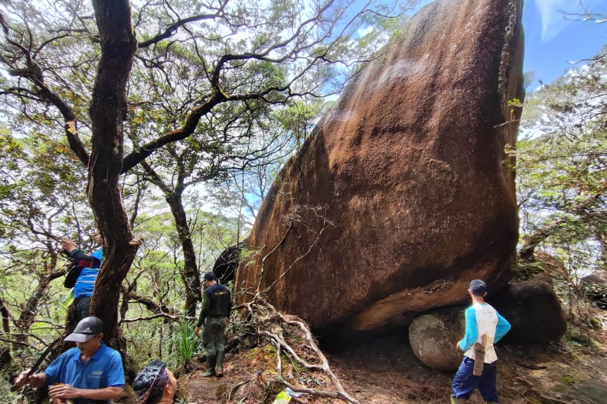 Ini 12 tipe ekosistem hutan di TN Gunung Palung