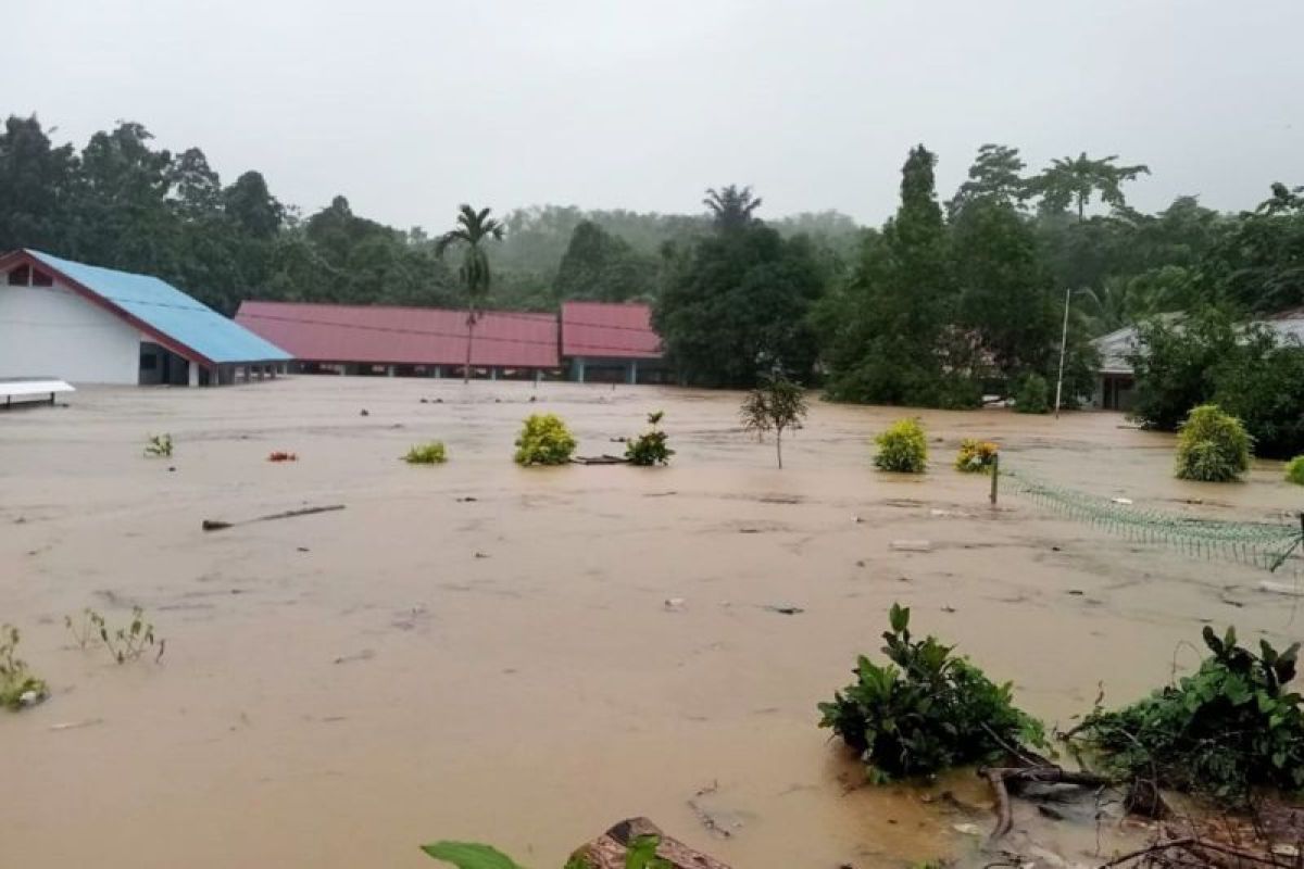 BPBD: Ratusan rumah terendam dan tujuh orang meninggal akibat banjir di Luwu