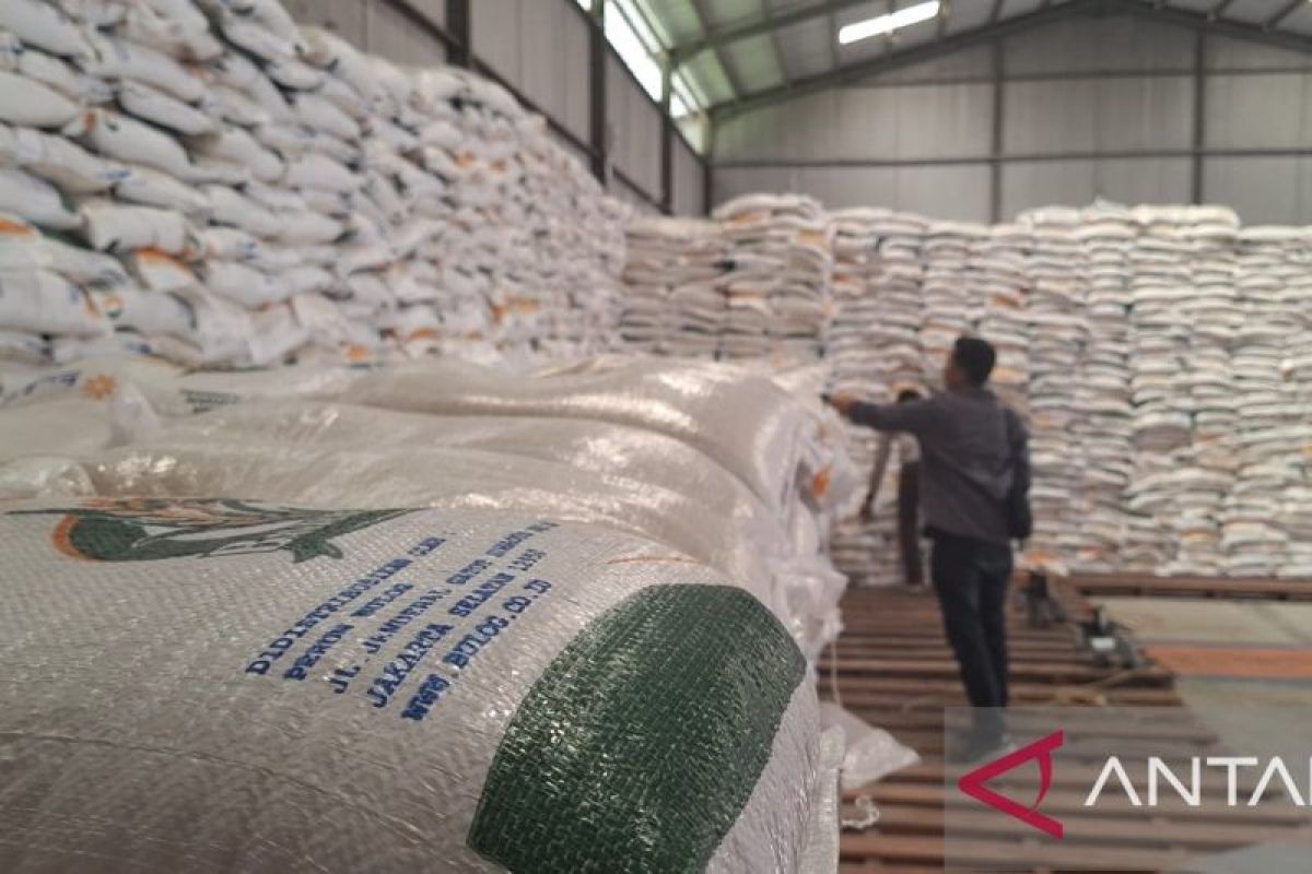 Dinas Pangan Aceh tinjau kualitas beras bantuan pangan di Bulog