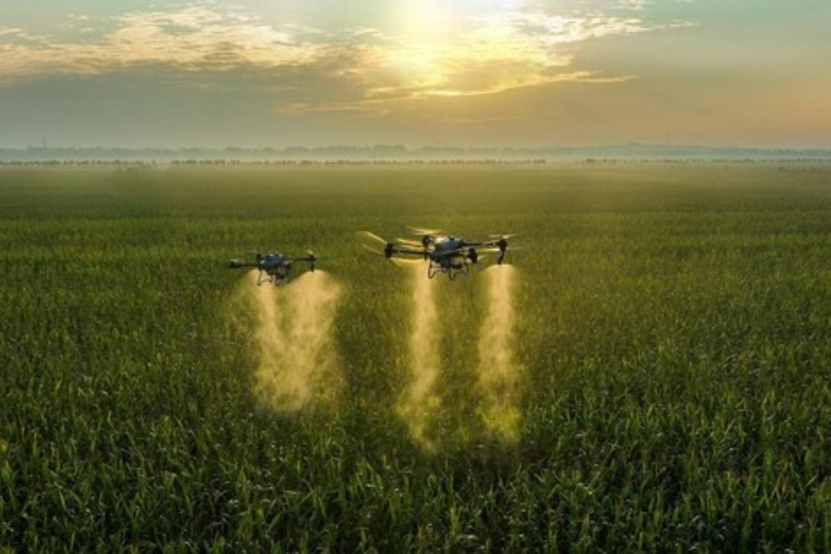 DJI Agras T And T Expand Aerial Crop Protection Capabilities