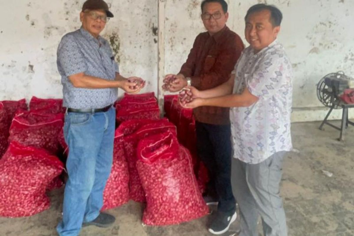 Pemkot Jambi datangkan dua ton bawang merah dari Brebes untuk stabilkan harga