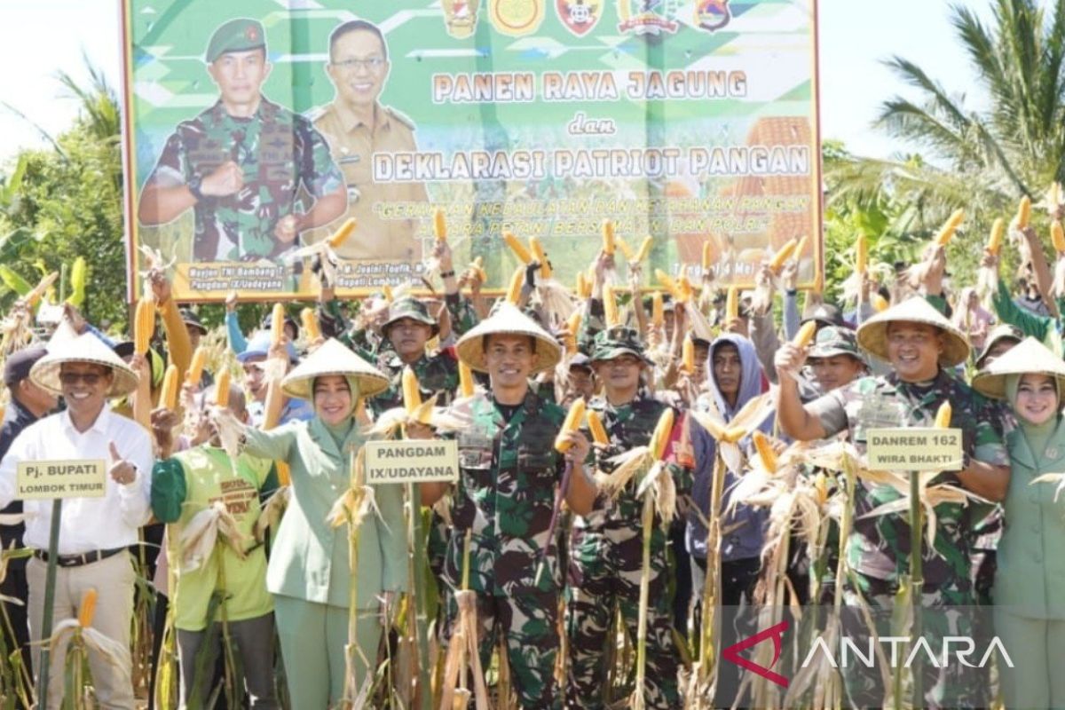 Pangdam IX/Udayana Mayjen Bambang panen raya jagung di NTB