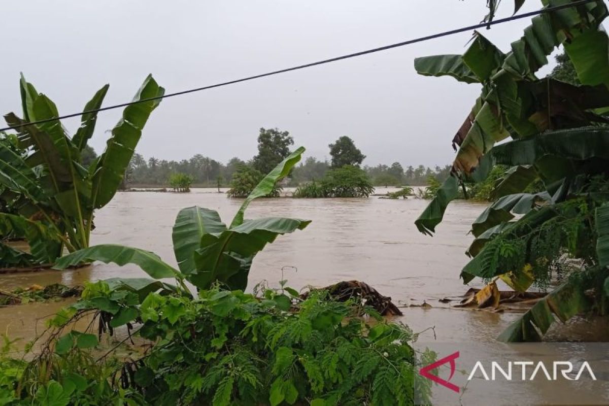 Floods in Luwu District killed 14 people