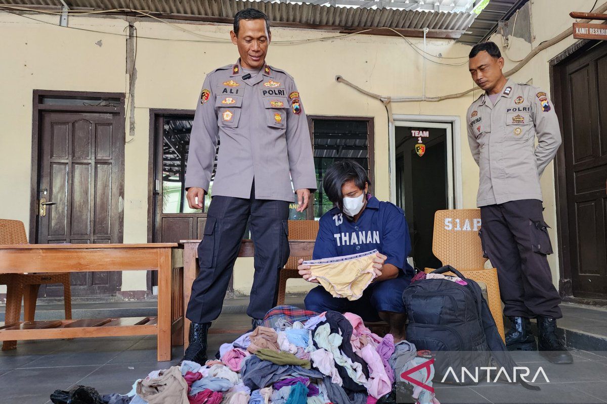 Polisi tangkap seorang pemuda pencuri ratusan celana dalam ...