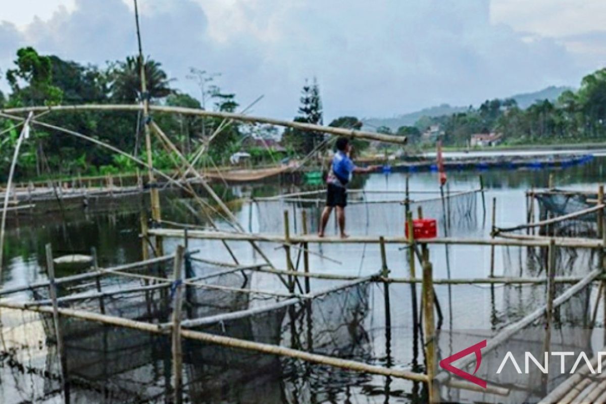 Tak punya laut, Purwakarta tetap penghasil ikan terbesar