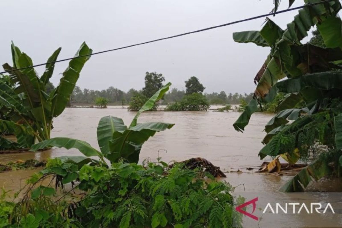 14 warga dilaporkan meninggal akibat banjir tiga meter di Kabupaten Luwu