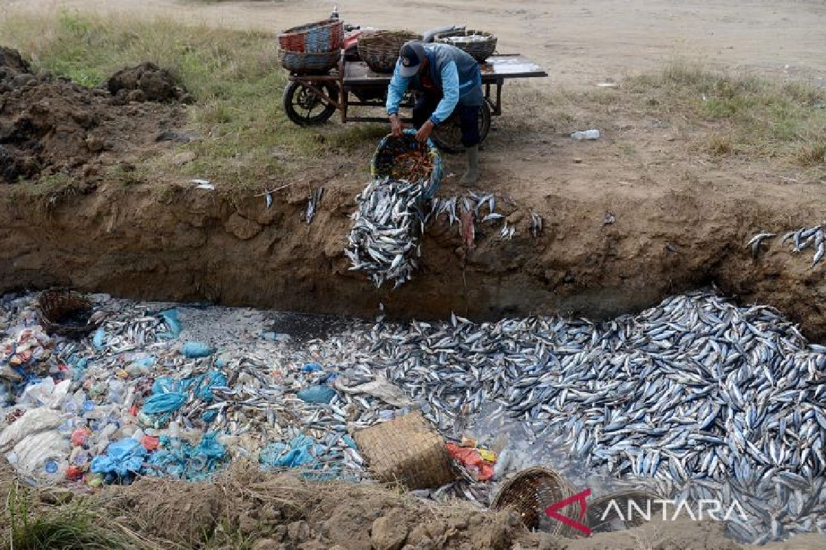 Pemerintah Aceh perlu siapkan cold storage tampung ikan nelayan