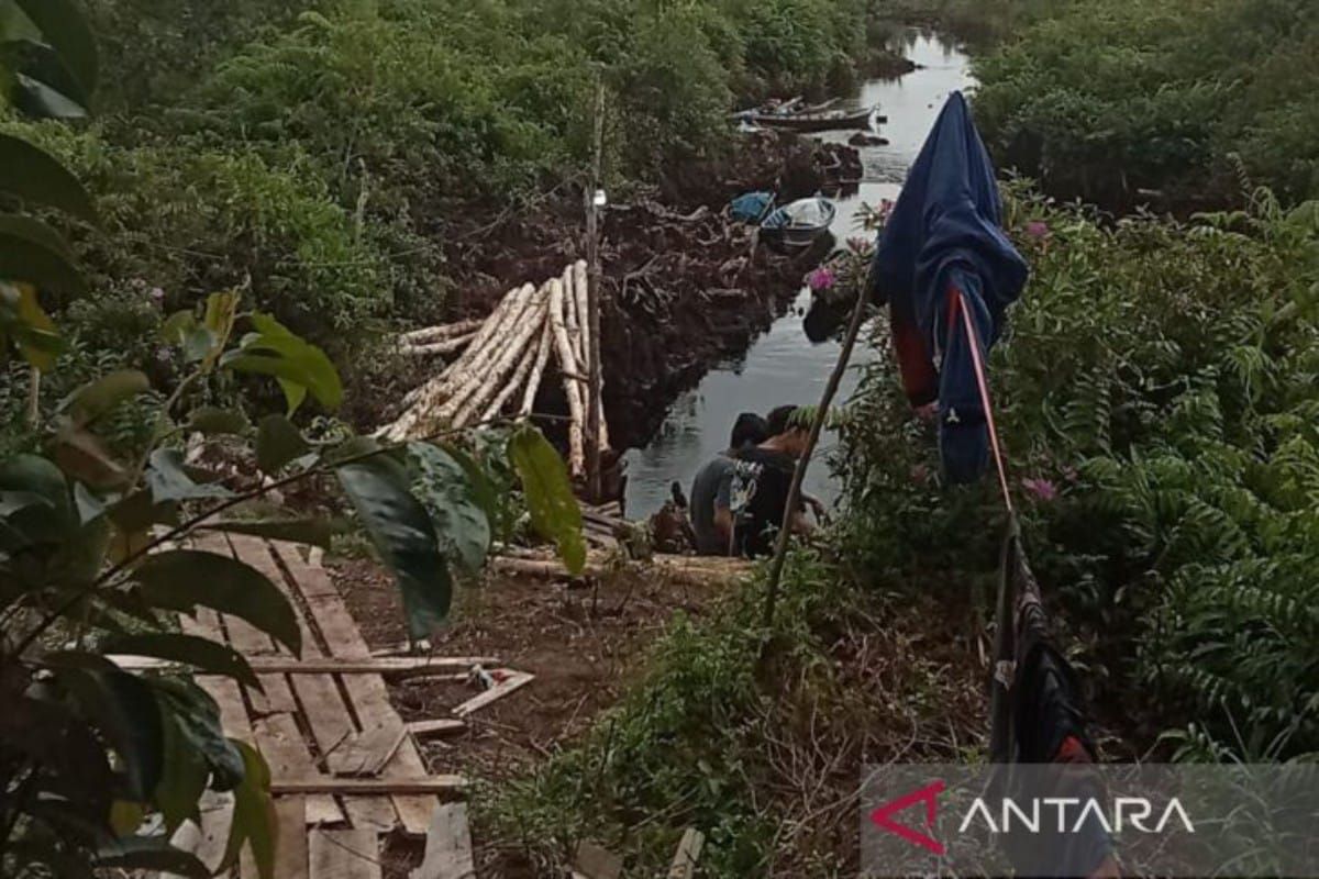 Satu mahasiswa Unlam Banjarmasin diduga hilang di lokasi reboisasi