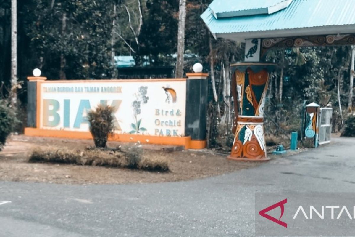 Taman Burung dan Anggrek Kampung Ruar Biak tempat wisata belajar lingkungan