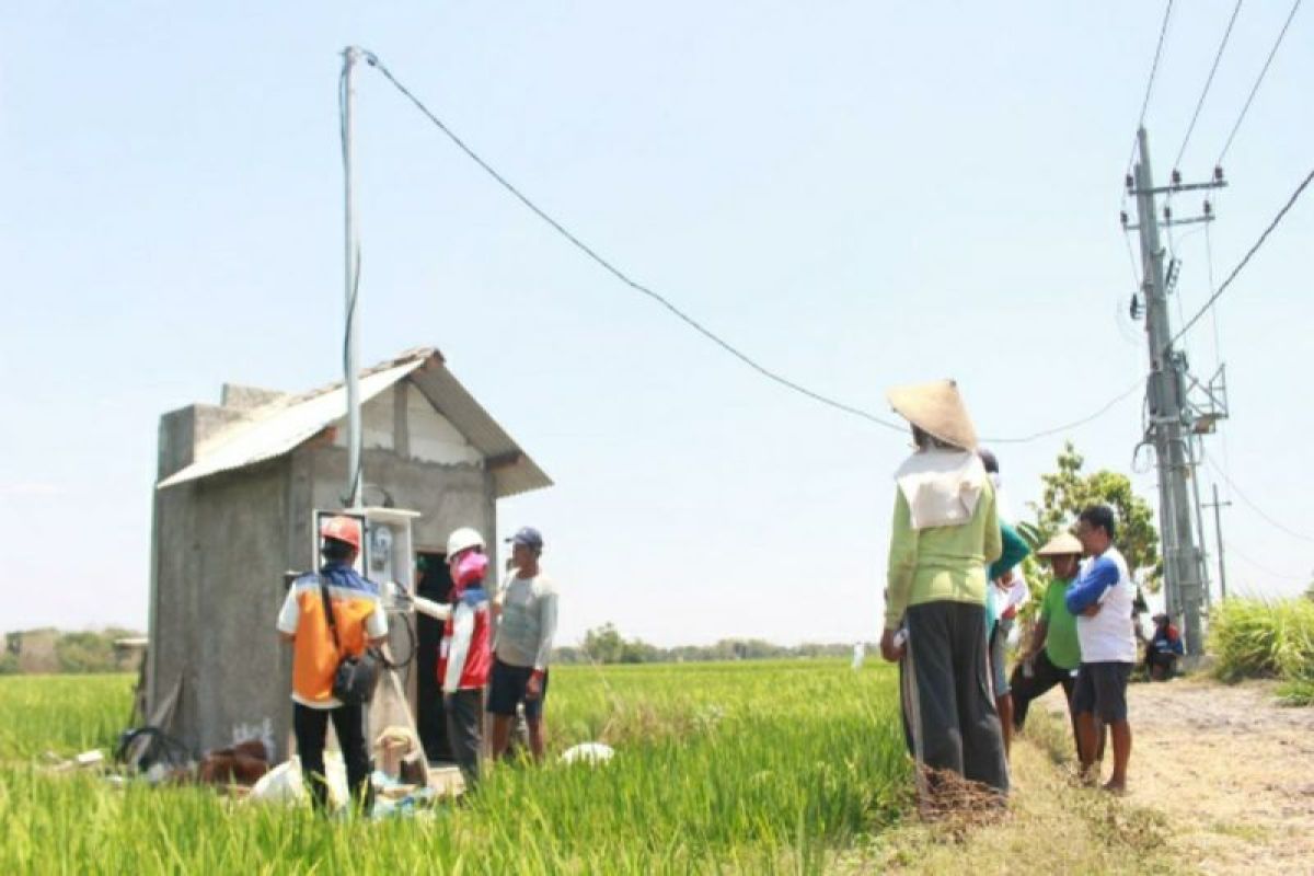 Listrik PLN masuk sawah, petani Sragen untung 35 persen lebih banyak