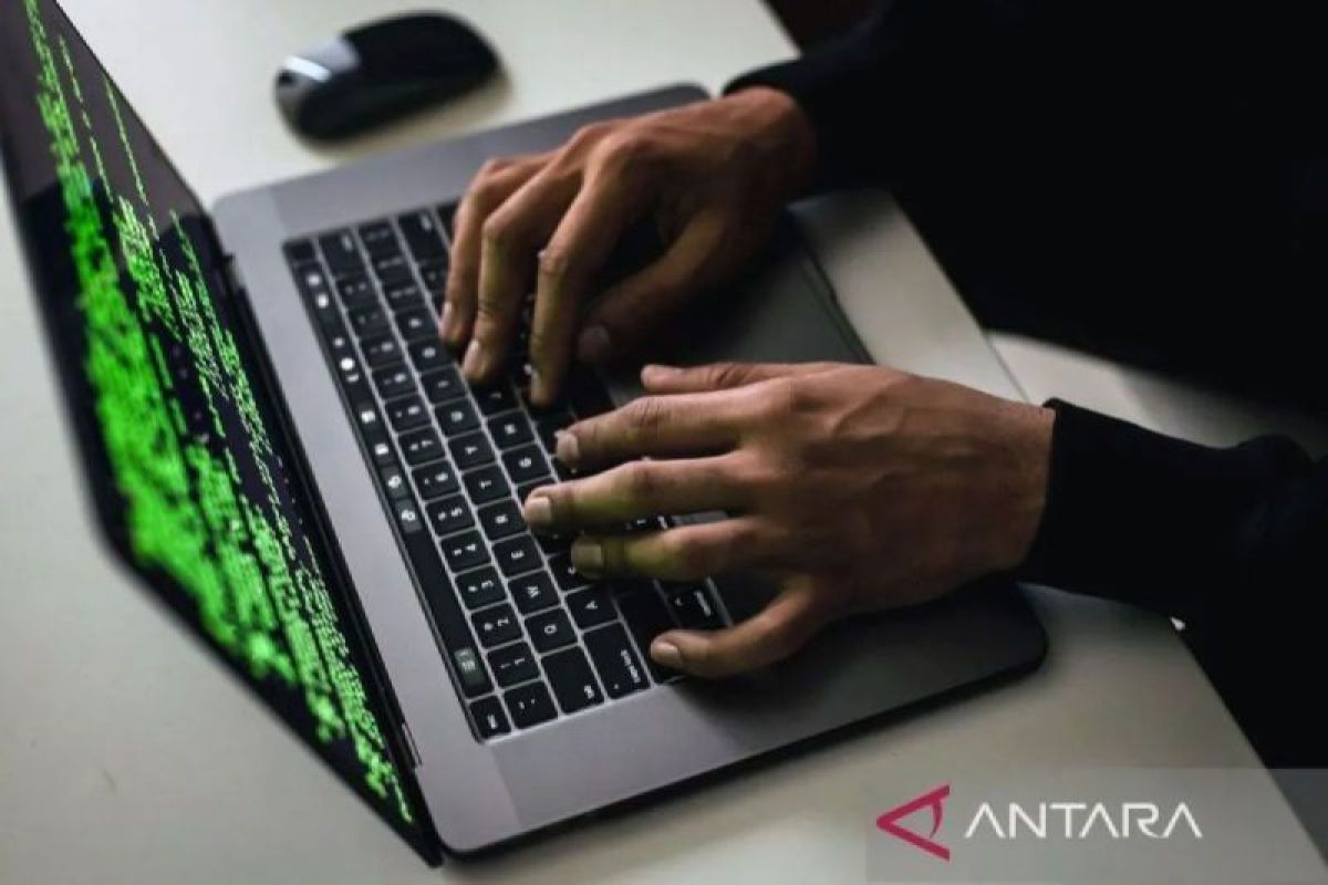 Government seeks to collaborate with AFDI to boost cybersecurity