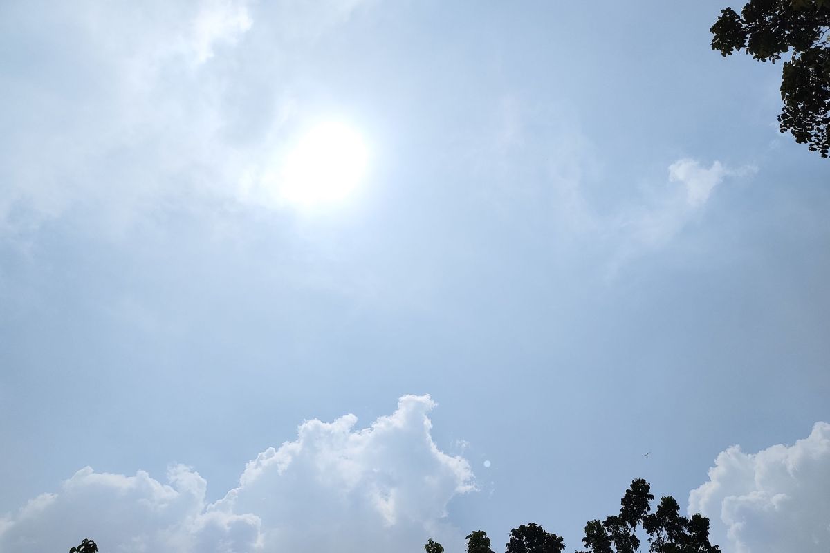 Layanan Perubahan Iklim Uni Eropa sebut April 2024 terpanas sepanjang sejarah