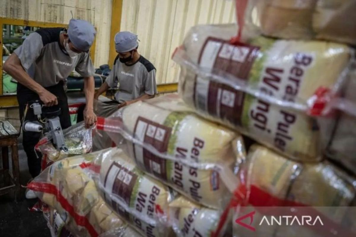 Legislator meminta Food Station meningkatkan standar kualitas beras premium
