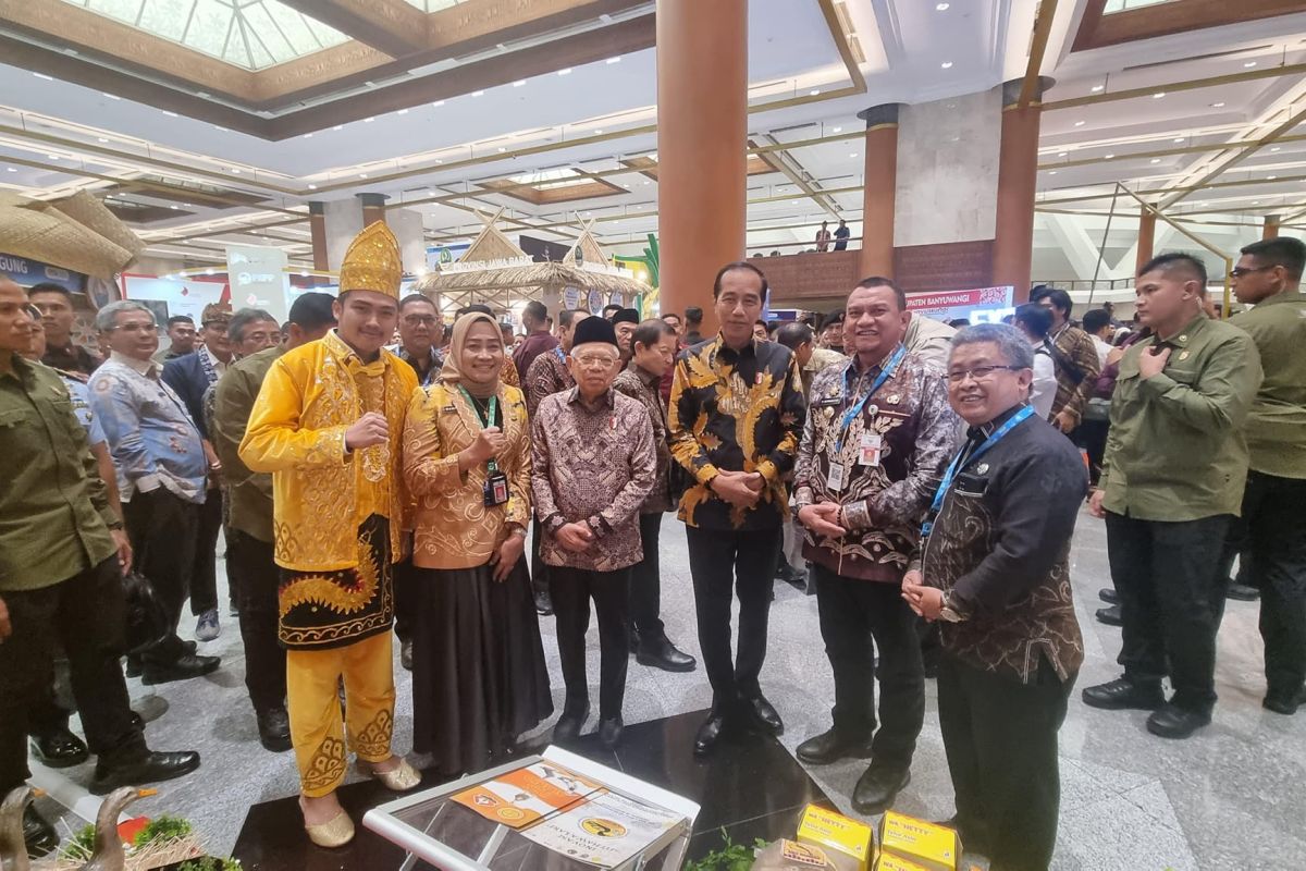 Pemkab HSS masuk 10 besar kabupaten terbaik PPD se-Indonesia