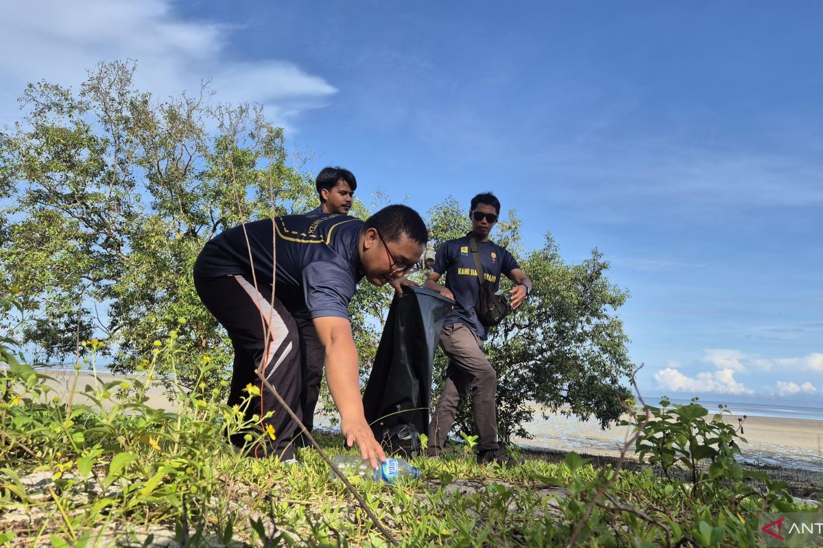 PLN gotong royong bersihkan Pantai Tanjung Pendam untuk konservasi ekosistem