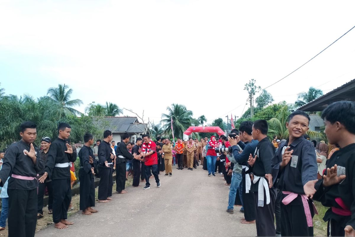 Bupati Bangka Selatan: Kesenian daerah simbol kerukunan