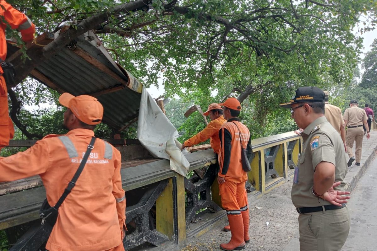 Kini, pohon dipangkas hingga pasang lampu sorot di RTH Tubagus Angke