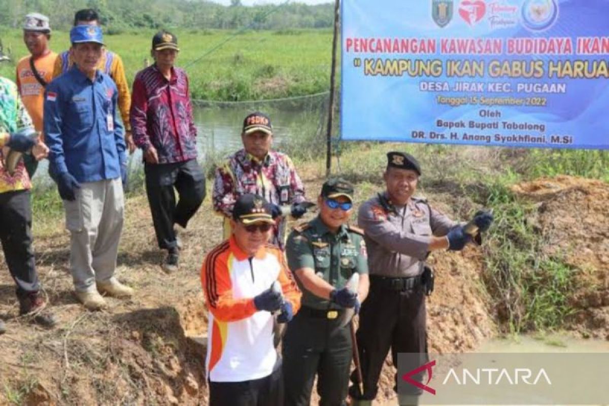 Tabalong Food Security develops Kampung Haruan