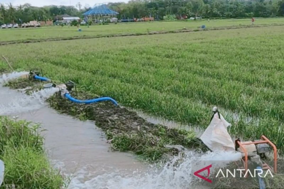Distan Purwakarta siapkan ratusan pompa air guna antisipasi pasokan air di musim kemarau