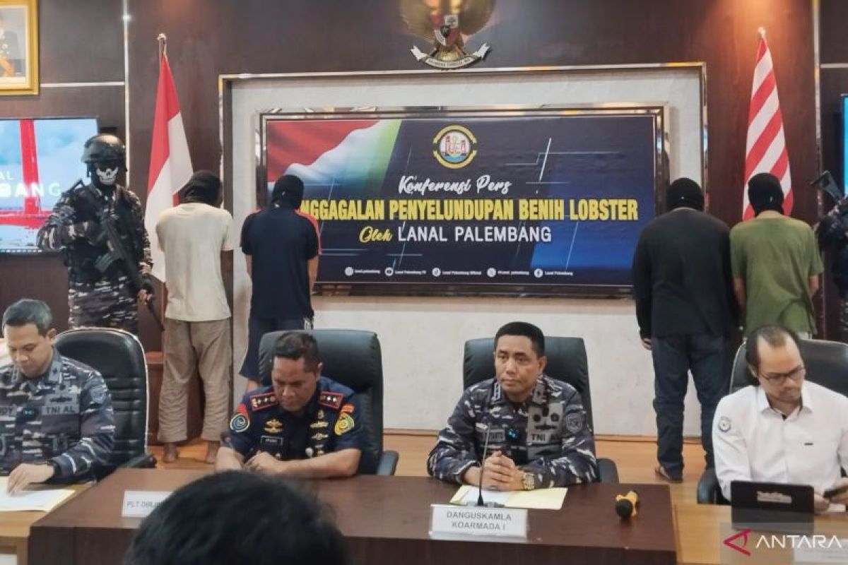 Penyelundupan lobster ke Singapura gagal