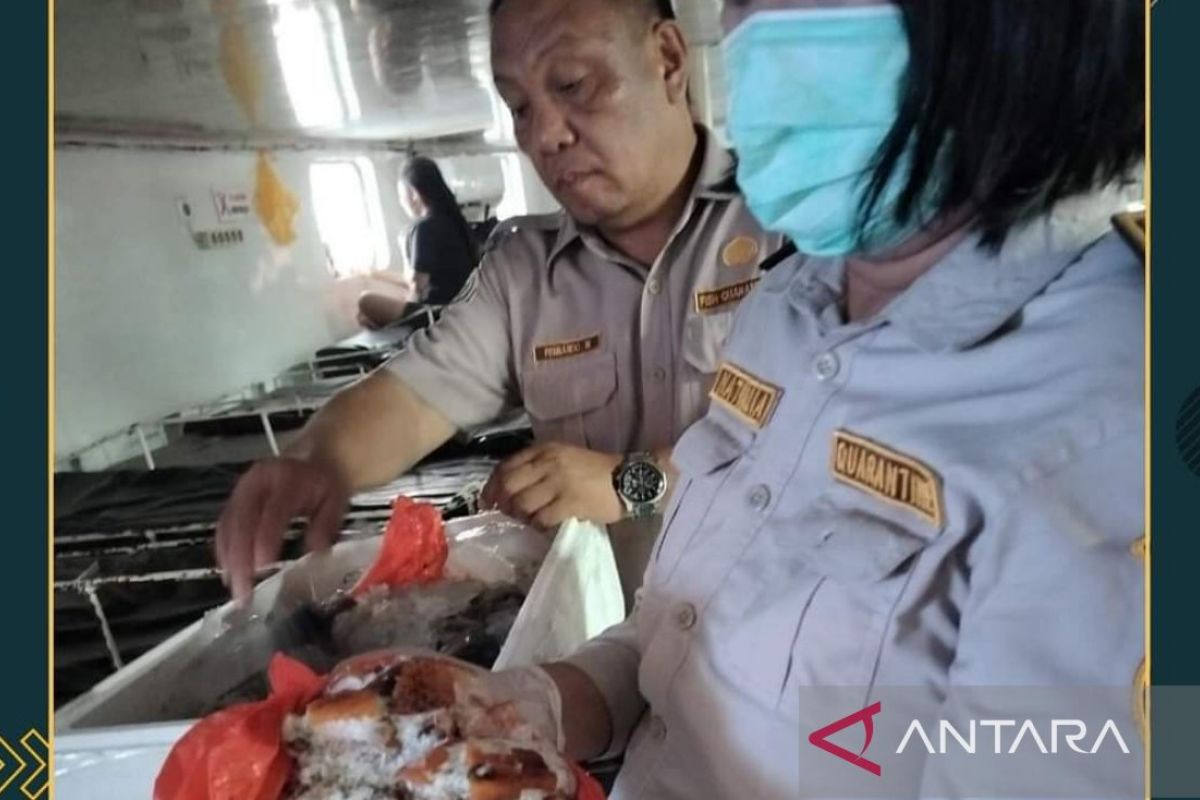 Kantor Karantina Sulut musnahkan 15 ton daging Ayam tidak layak konsumsi