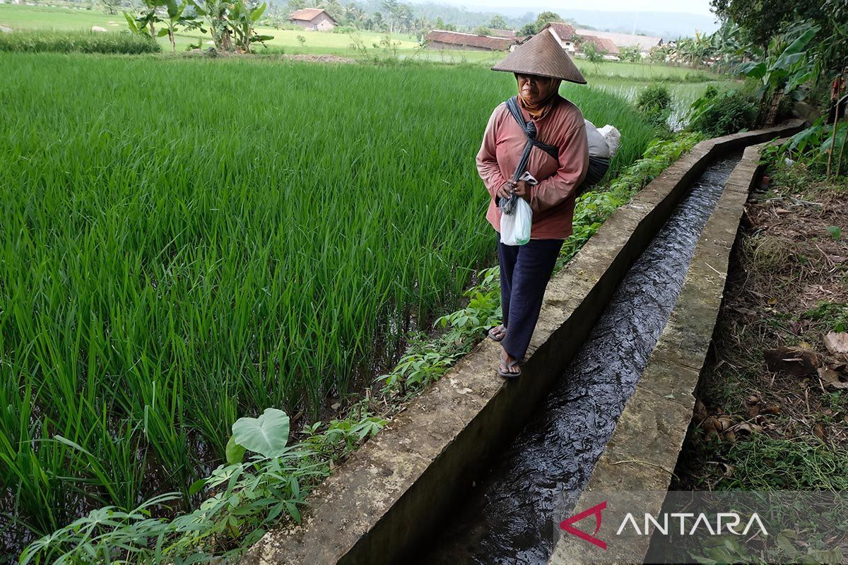 PUPR: World Water Forum angkat peran infrastruktur air bagi pangan