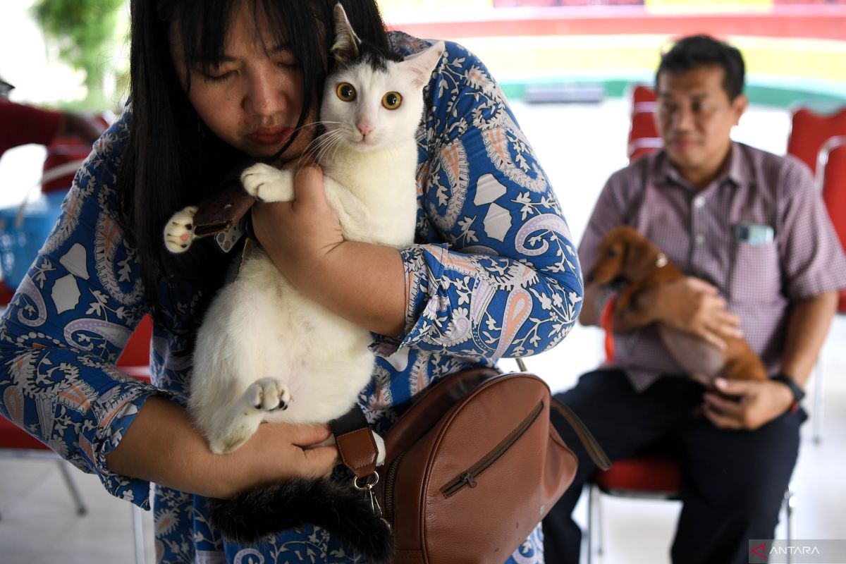 Usia harapan hidup kucing-anjing di Indonesia di bawah enam tahun