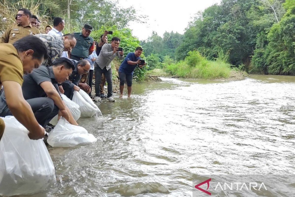 Pj Wali Kota bersama Kadis Perikanan Provsu tabur benih ikan