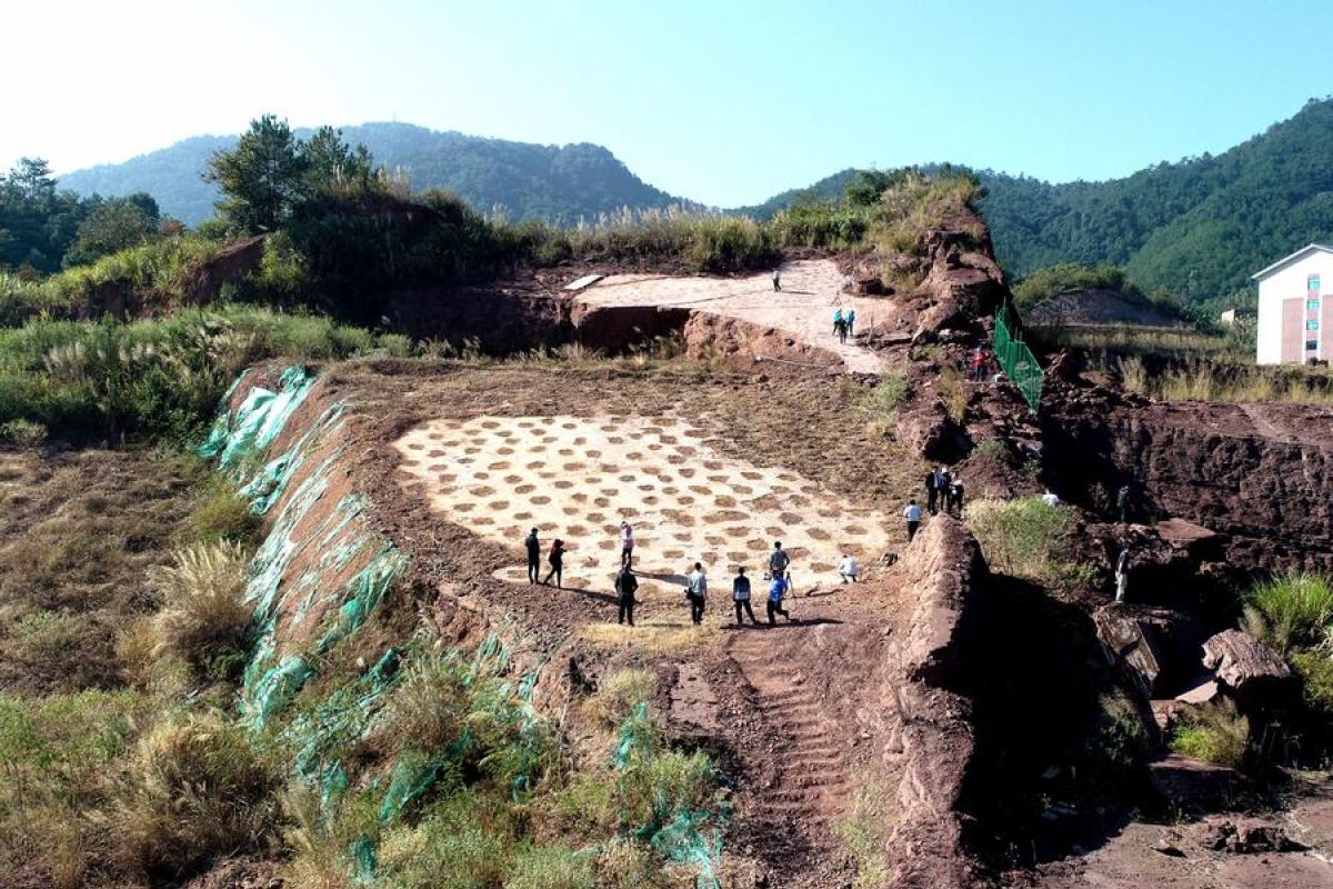 Jejak kaki Diononychosaurus terbesar di dunia ditemukan di Fujian, Tiongkok