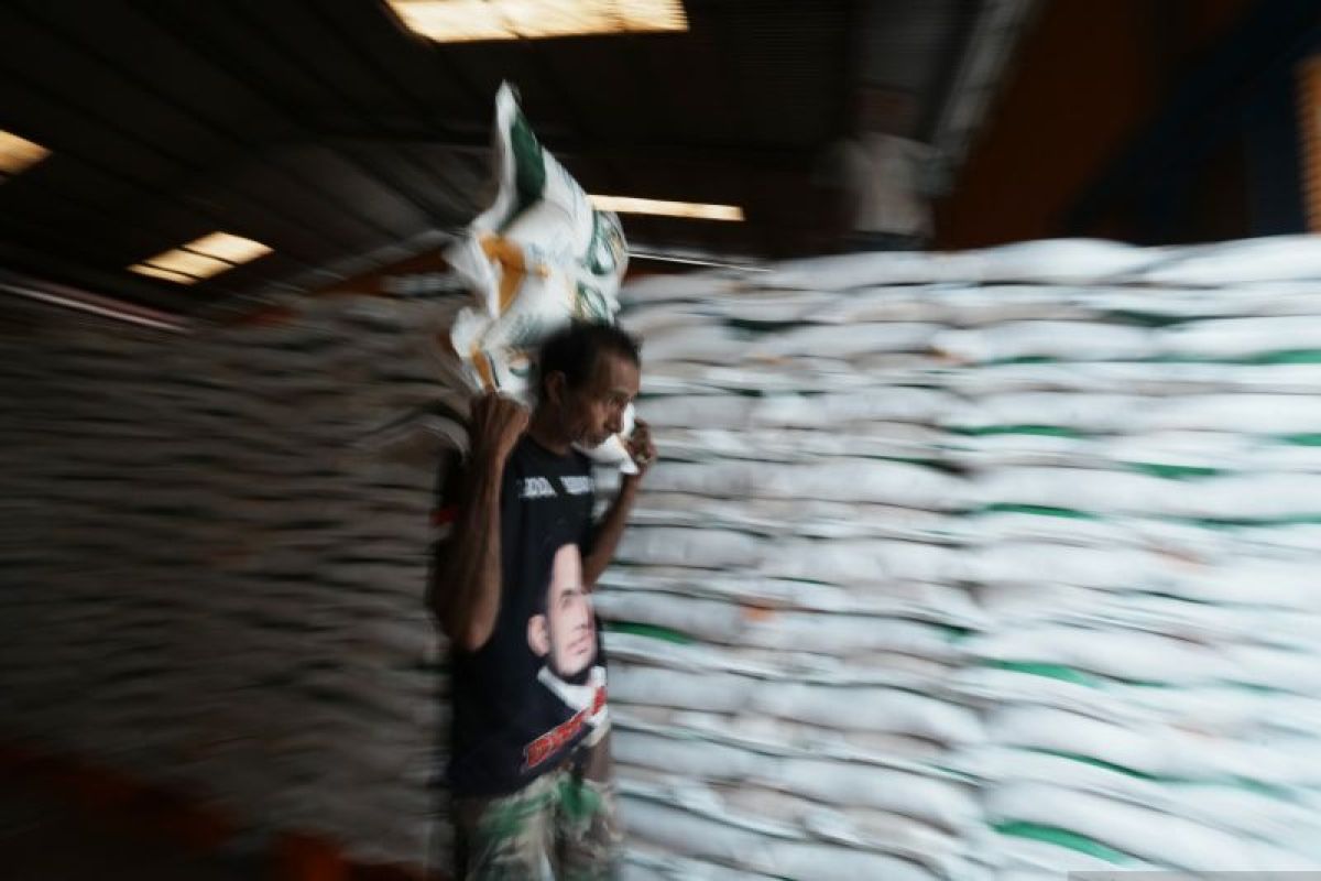 Stok beras program bantuan pangan di Kendari