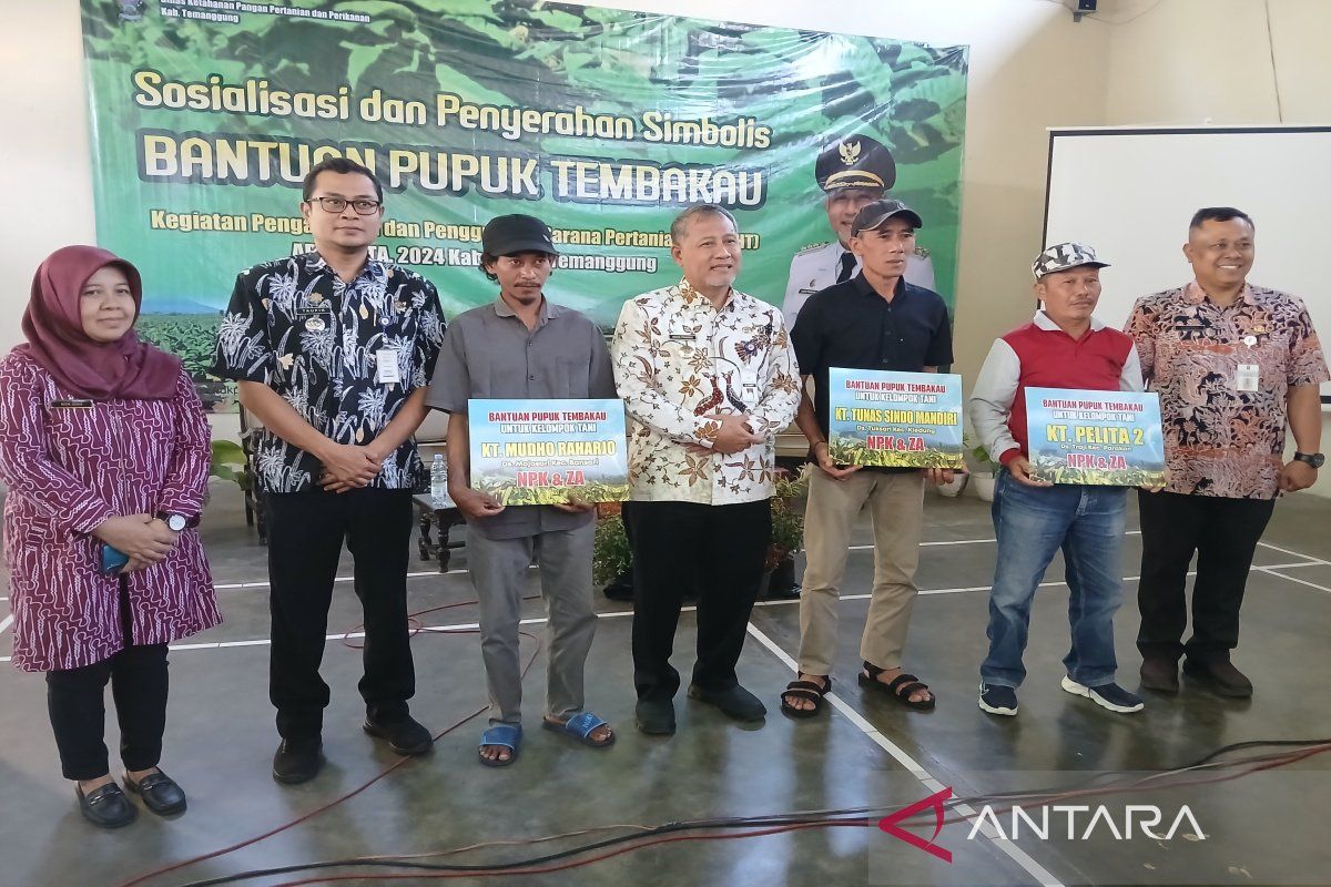 288 kelompok petani tembakau Temanggung dapat bantuan  pupuk