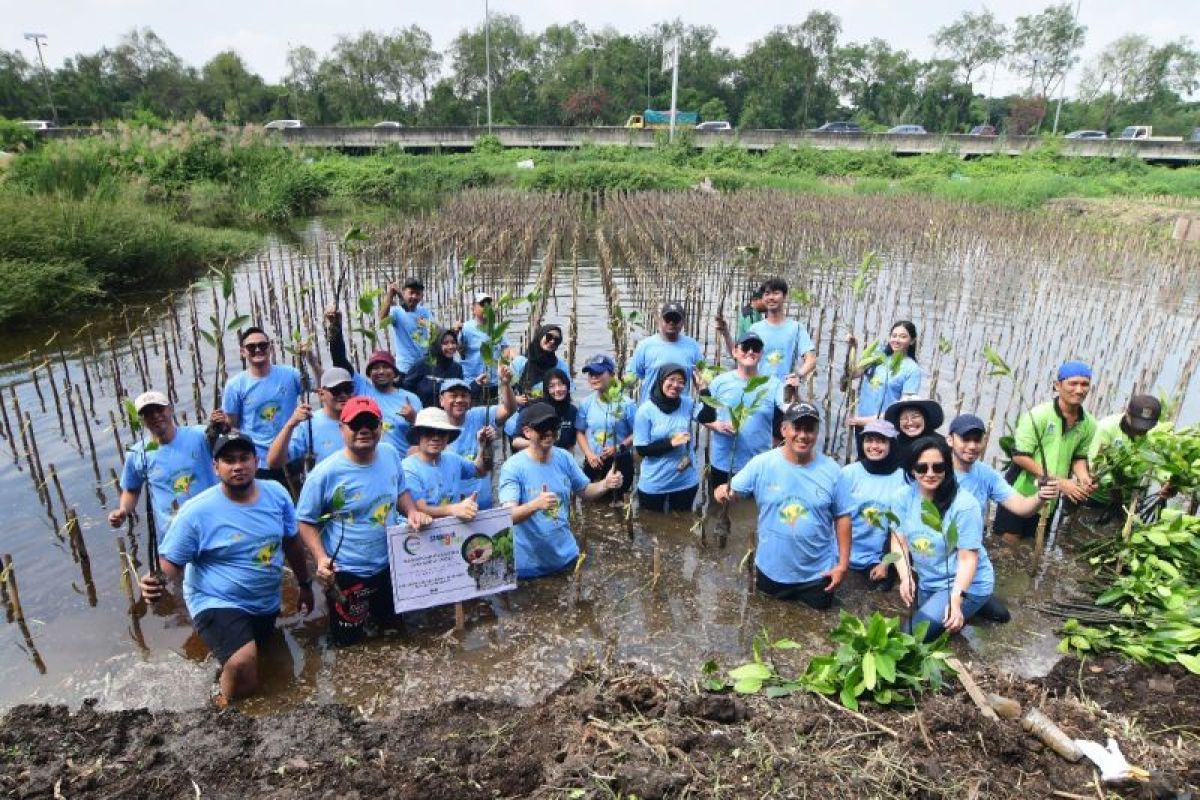 HUT ke-9, PT Solusi Energy Nusantara tanam 500 pohon Mangrove