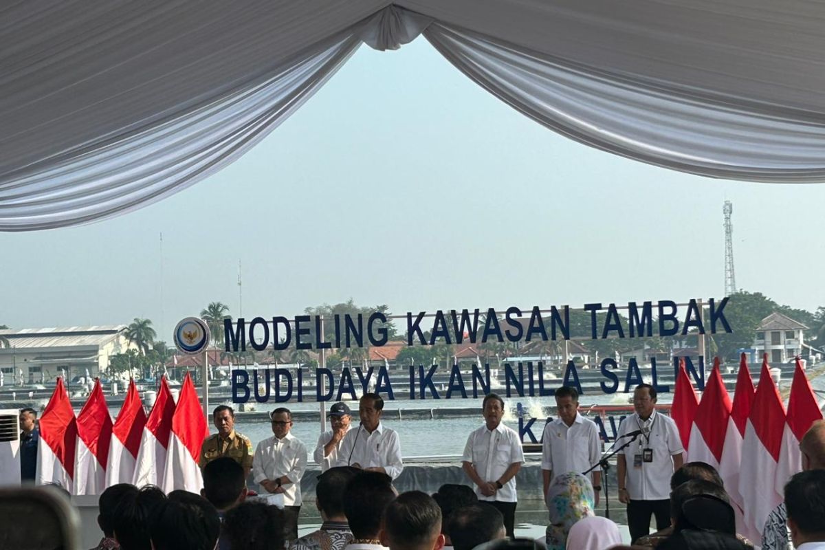 Presiden Jokowi resmikan modeling budidaya ikan nila salin yang dikelola KKP di Karawang