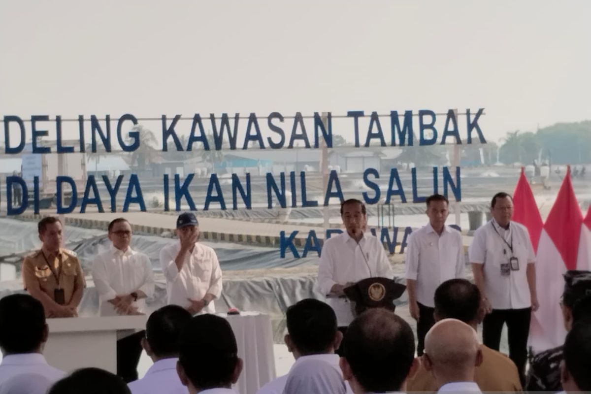 Jokowi: Tambak tak dimanfaatkan bisa dikembangkan budidaya ikan nila