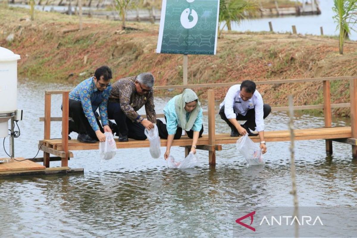 eFishery luncurkan program contract farming untuk petambak udang di Banda Aceh