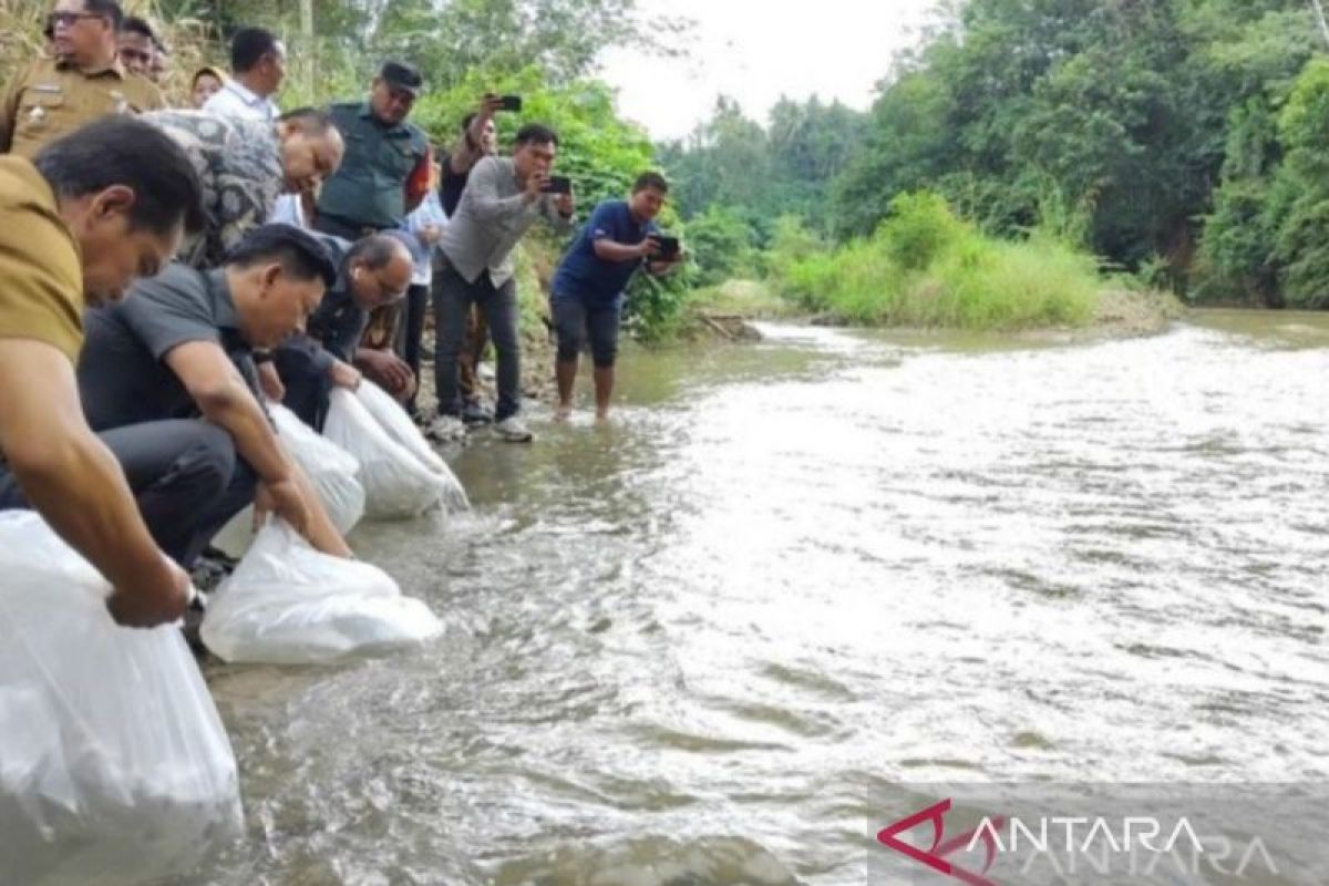 Pemkot Padangsidimpuan tebar benih ikan jaga ekosistem sungai