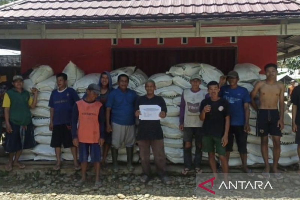 Petani HST dapat bantuan peremajaan karet 350 hektare dari APBD