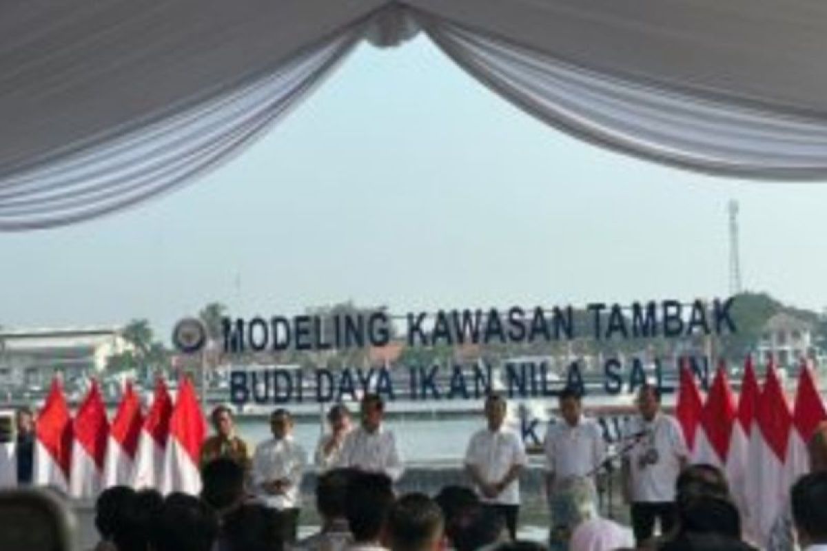 Presiden Jokowi resmikan modeling budidaya ikan nila salin di Karawang